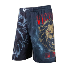 Шорты для MMA Rusco Sport LION, детские