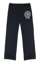 Брюки спортивные FIGHTPOINT Logo