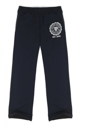 Брюки спортивные FIGHTPOINT Logo