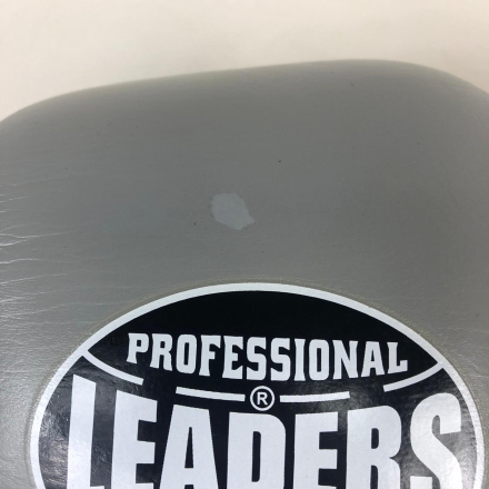 Перчатки боксерские LEADERS LS FANCY GR/OR 14oz, УЦЕНКА
