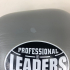 Перчатки боксерские LEADERS LS FANCY GR/OR 14oz, УЦЕНКА