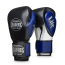 Перчатки боксерские LEADERS LiteSeries BK/BL