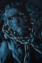 Футболка PitBull skull dog 23