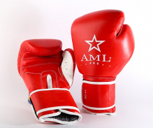Перчатки боксерские AML с логотипом  
