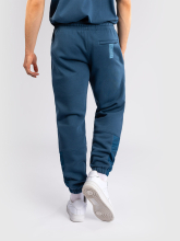 Брюки спортивные Venum Silent Power Peacock Blue