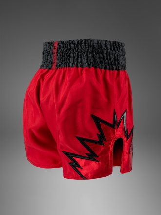 Шорты тайские Venum Inferno 2.0 Red/Charcol Grey/Black