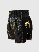 Шорты тайские Venum Serpenti Black/Silver/Gold