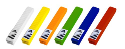 Пояс для единоборств Club 